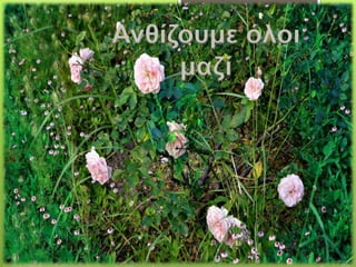 Ανθίζουμε όλοι
μαζί
 