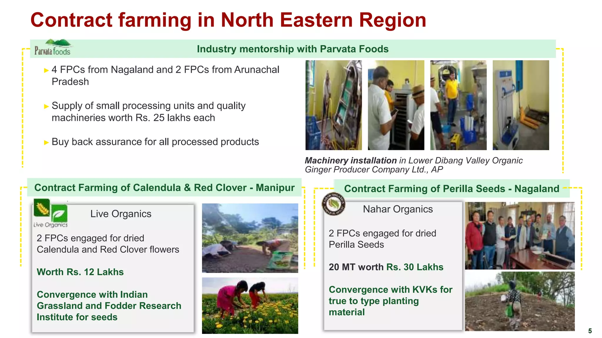 Clean plant programme pptx