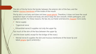 The skin of the lip forms the border between the exterior skin of the face, and the
interior mucous membrane of the inside of the mouth
The lip skin is not hairy and does not have sweat glands. Therefore, it does not have the usual
protection layer of sweat and body oils which keep the skin smooth, inhibit pathogens, and
regulate warmth. For these reasons, the lips dry out faster and become chapped more easily.
 Nerve supply:
• Trigeminal nerve
• Infraorbital nerve( It supplies not only the upper lip,
but much of the skin of the face between the upper lip
and the lower eyelid, except for the bridge of the nose.)
• Mental nerve( It supplies the skin and mucous membrane of the lower lip and
labial gingiva (gum) anteriorly.)
 