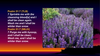 Psalm 51:7 (TLB)
7 Sprinkle me with the
cleansing blood[a] and I
shall be clean again.
Wash me and I shall be
whiter than snow.
Psalm 51:7 (NKJV)
7 Purge me with hyssop,
and I shall be clean;
Wash me, and I shall be
whiter than snow.
 