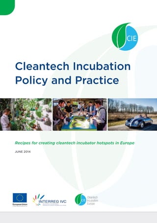 Cleantech Incubation
Policy and Practice
JUNE 2014
EuropeanUnion
European Regional Development Fund
Recipes for creating cleantech incubator hotspots in Europe
 