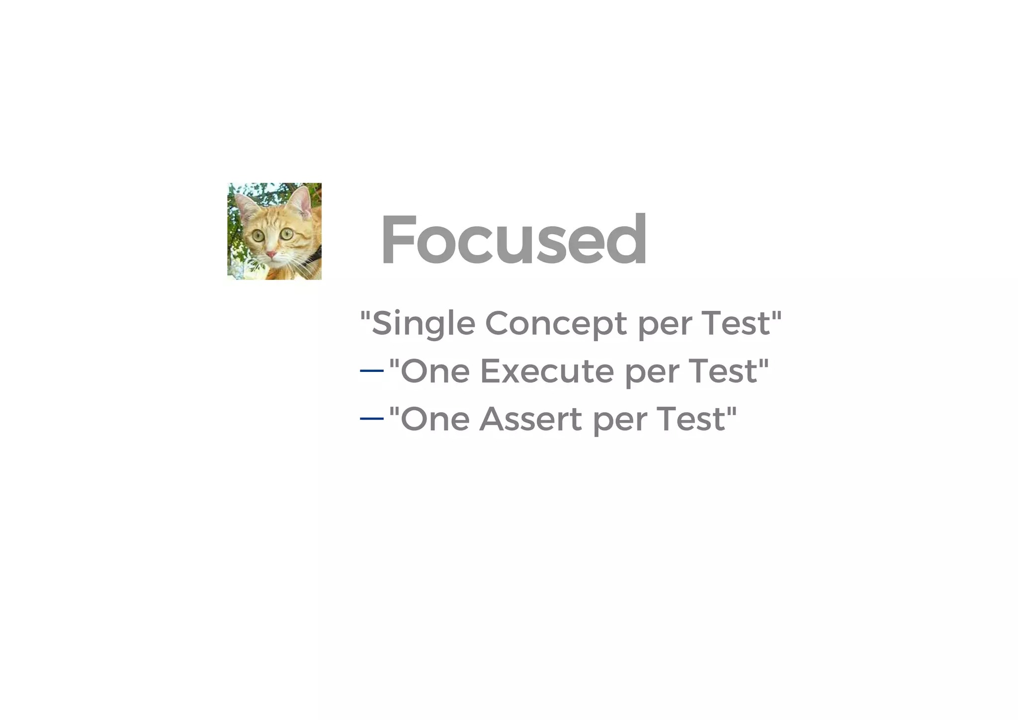 "Single Concept per Test" 
"One Execute per Test" 
"One Assert per Test" 
Focused  