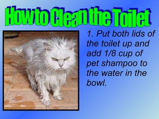 1. Put both lids of the toilet up and add 1/8 cup of pet shampoo to the water in the bowl. How to Clean the Toilet 