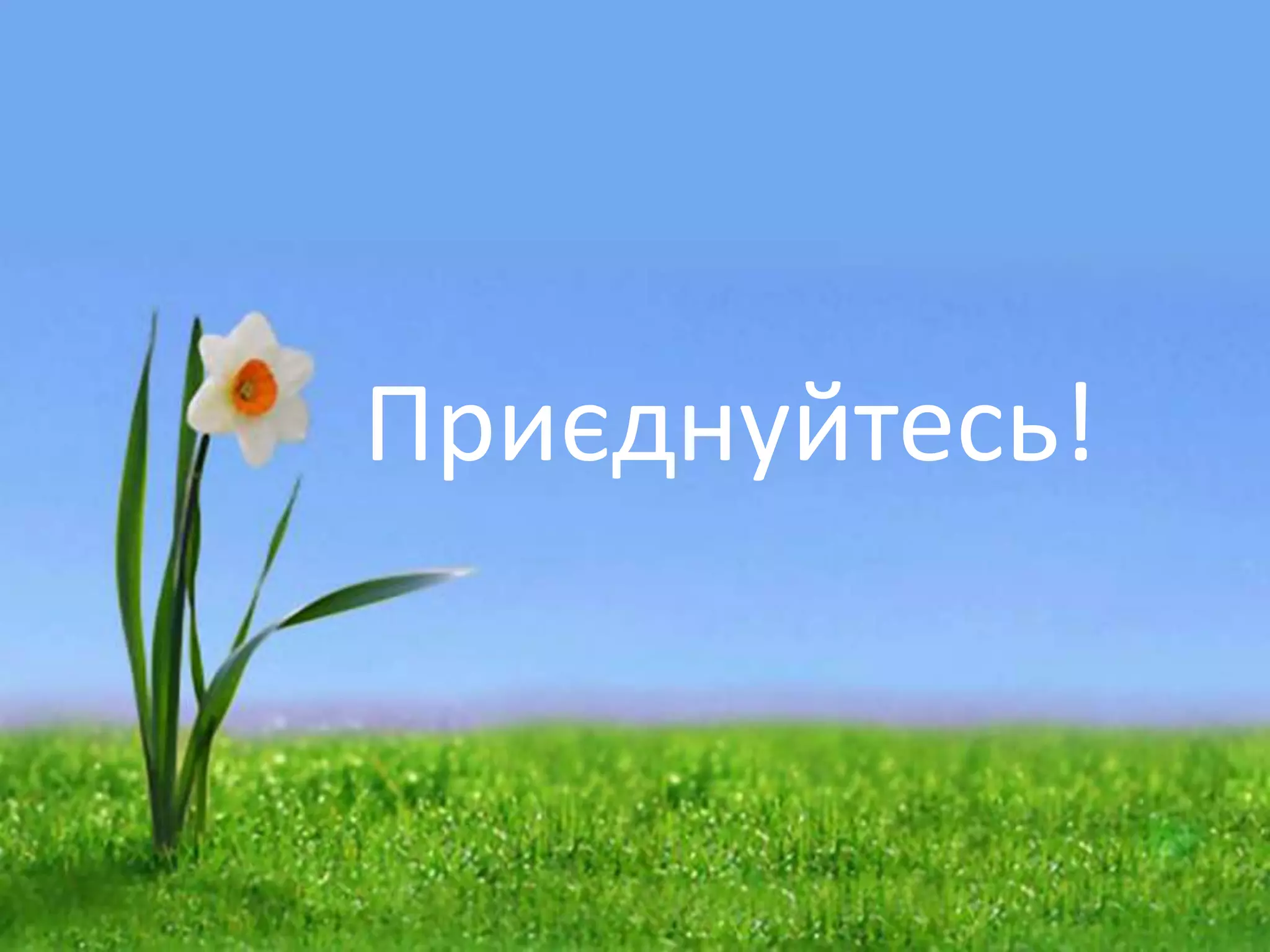 Приєднуйтесь!
 