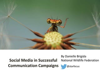 Social Media in Successful
Communication Campaigns @starfocus
By Danielle Brigida
National Wildlife Federation
 