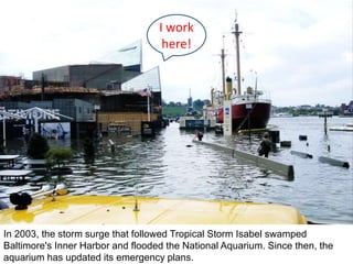 In 2003, the storm surge that followed Tropical Storm Isabel swamped
Baltimore's Inner Harbor and flooded the National Aquarium. Since then, the
aquarium has updated its emergency plans.
I work
here!
 