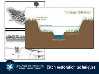 Ditch restoration techniques
 