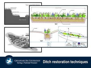 Ditch restoration techniques
 