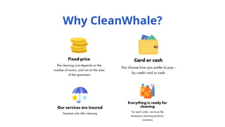 Why CleanWhale?
 