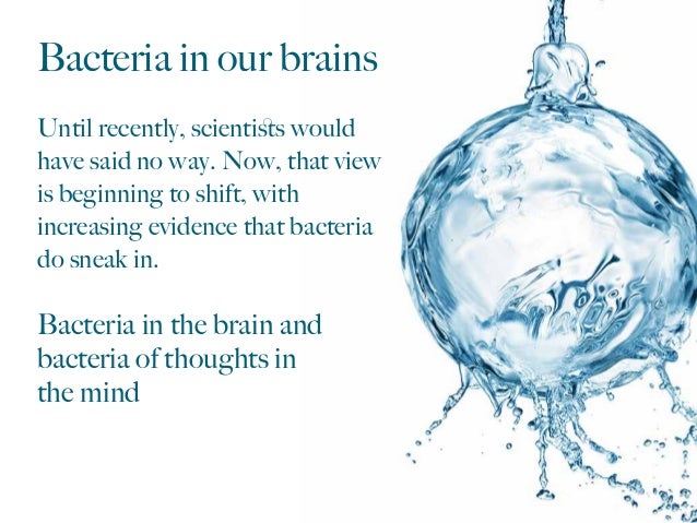 No Togel Virginia Night
, Bacteria In Our Brains Until