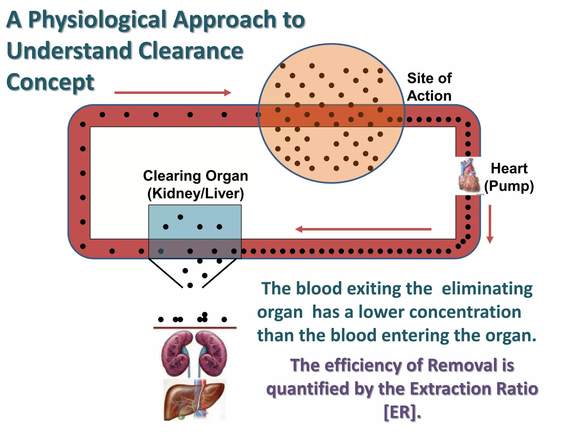 A Physiological Approach to
Understand Clearance
Concept                                        Site of
                                               Action



                                                          Heart
            Clearing Organ
                                                         (Pump)
            (Kidney/Liver)




                              The blood exiting the eliminating
                             organ has a lower concentration
                             than the blood entering the organ.
                                The efficiency of Removal is
                              quantified by the Extraction Ratio
                                             [ER].
 