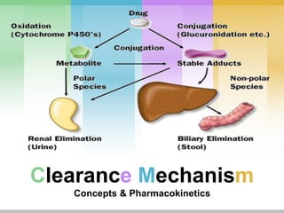 Clearance Mechanism
Concepts & Pharmacokinetics
 
