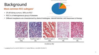 Clear cell RCC and non-clear cell RCC treatment appraoches.pptx
