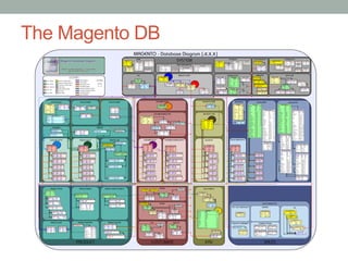 The Magento DB
 