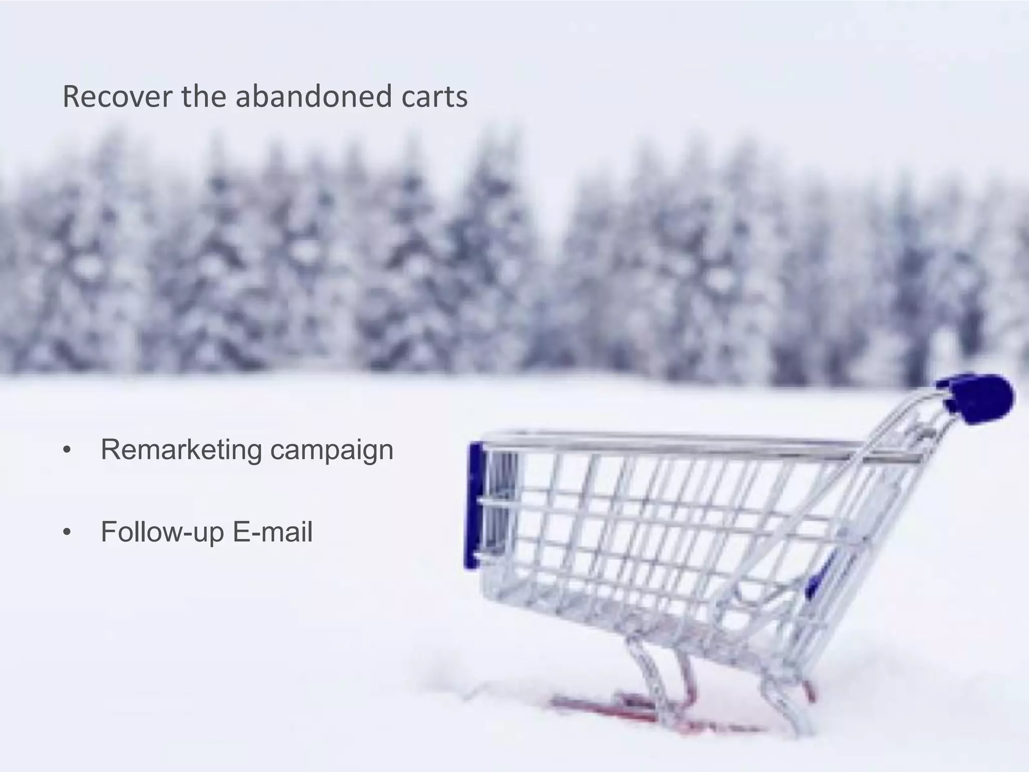 Recover the abandoned carts




• Remarketing campaign

• Follow-up E-mail
 