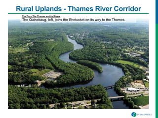 Rural Uplands - Thames River Corridor
The Day - The Thames and its Rivers
The Quinebaug, left, joins the Shetucket on its way to the Thames.
 