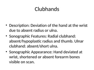 Clear_Skeletal_Abnormalities_Presentation.pptx