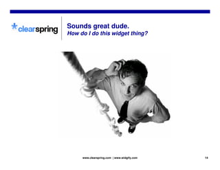 Clearspring Widgetsphere