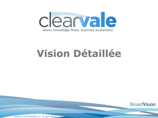 Vision Détaillée 