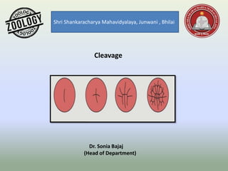 Shri Shankaracharya Mahavidyalaya, Junwani , Bhilai
Cleavage
Dr. Sonia Bajaj
(Head of Department)
 