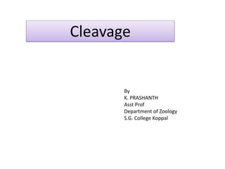 Cleavage
By
K. PRASHANTH
Asst Prof
Department of Zoology
S.G. College Koppal
 
