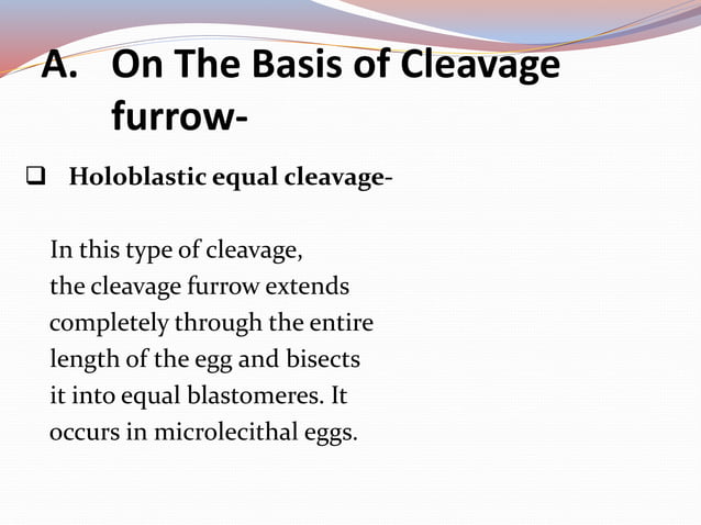Cleavage and its patterns PPTX