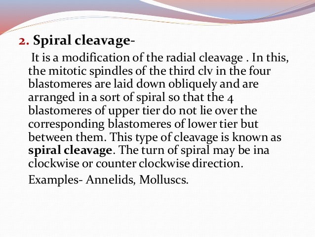 Cleavage And Its Patterns