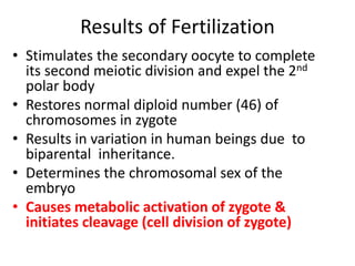 Cleavage, implantation of the embryo and bilaminar | PPTX