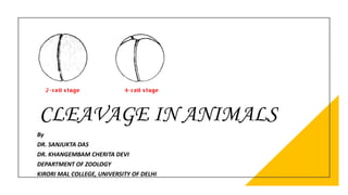 CLEAVAGE IN ANIMALS
By
DR. SANJUKTA DAS
DR. KHANGEMBAM CHERITA DEVI
DEPARTMENT OF ZOOLOGY
KIRORI MAL COLLEGE, UNIVERSITY OF DELHI
 