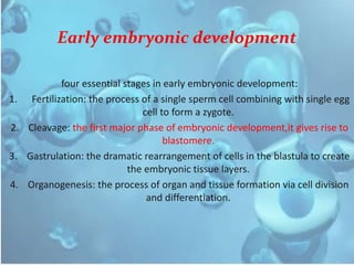Early embryonic development
four essential stages in early embryonic development:
1. Fertilization: the process of a single sperm cell combining with single egg
cell to form a zygote.
2. Cleavage: the first major phase of embryonic development,it gives rise to
blastomere.
3. Gastrulation: the dramatic rearrangement of cells in the blastula to create
the embryonic tissue layers.
4. Organogenesis: the process of organ and tissue formation via cell division
and differentiation.
 