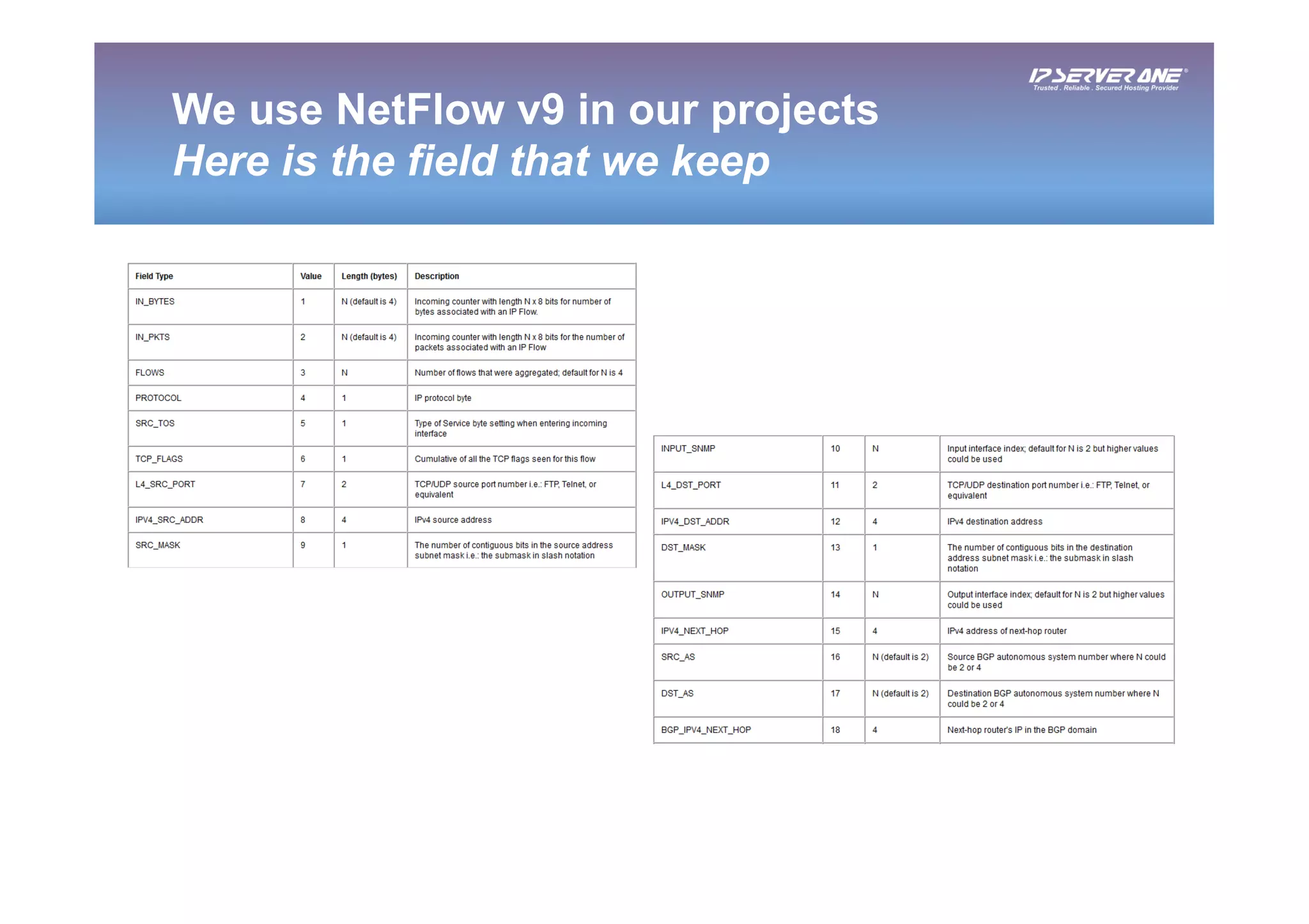 We use NetFlow v9 in our projects
Here is the field that we keep
 
