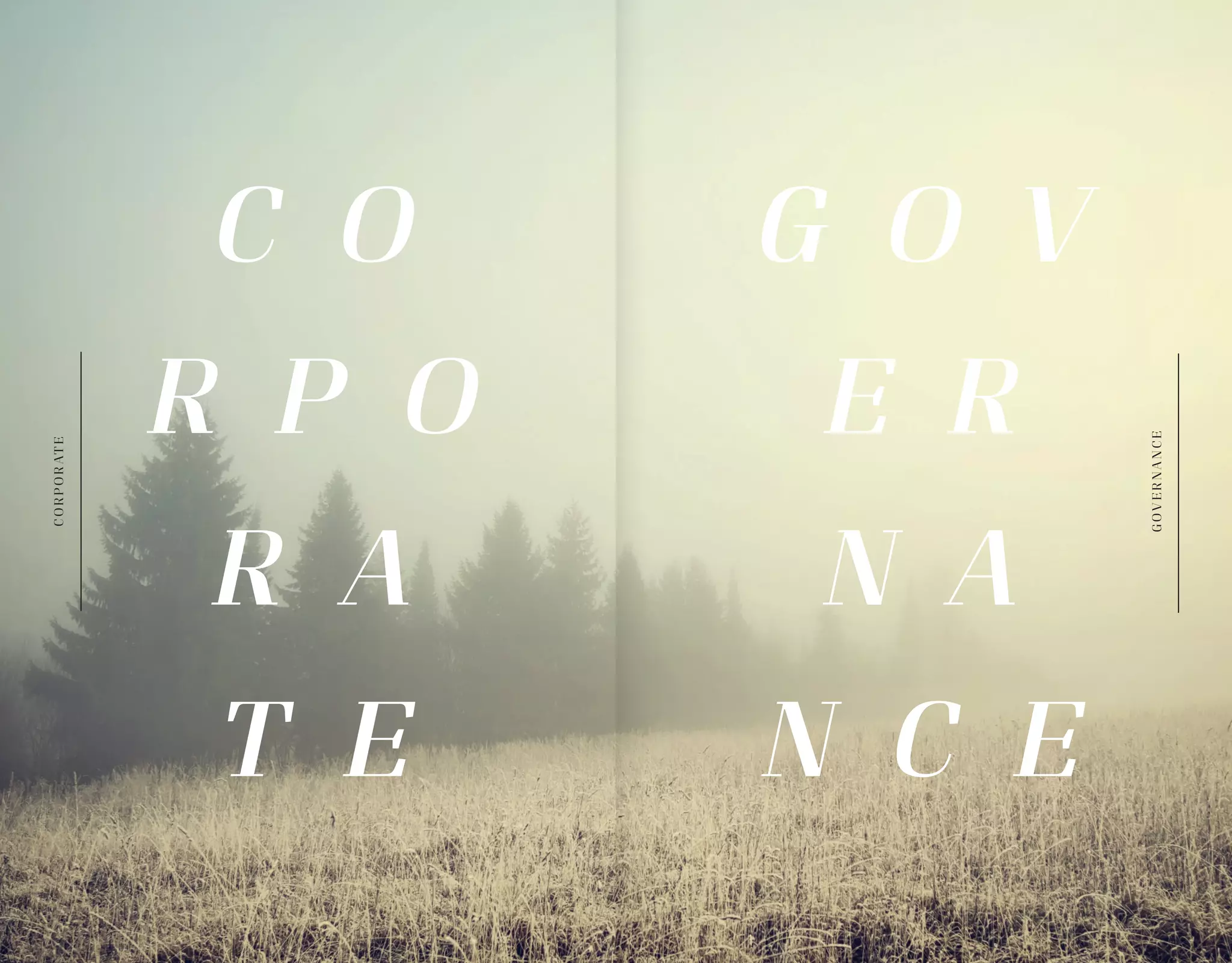 1918
C O
R P O
R A
T E
G O V
E R
N A
N C E
CORPORATE
GOVERNANCE
 