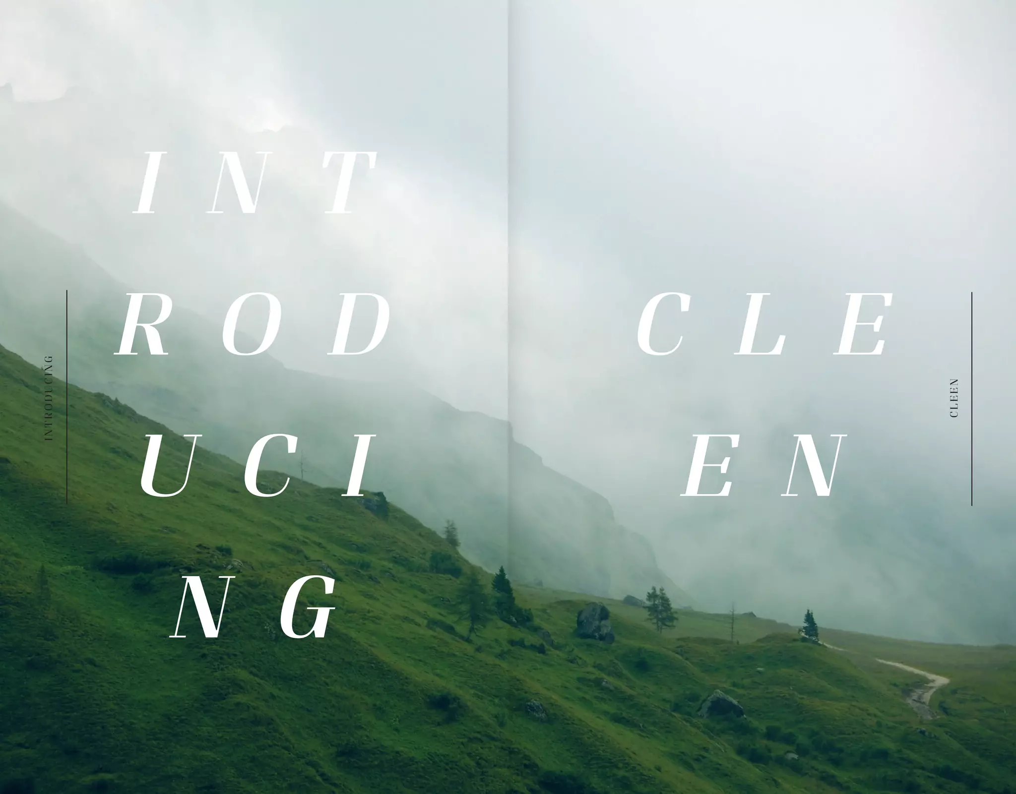 98
I N T
R O D
U C I
N G
C L E
E N
INTRODUCING
CLEEN
 