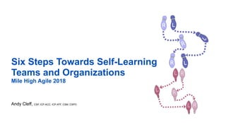 Six Steps Towards Self-Learning
Teams and Organizations
Mile High Agile 2018
Andy Cleff, CSP, ICP-ACC, ICP-ATF, CSM, CSPO
1
 