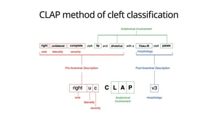 Management of Cleft Lip and Palate - Orthodontics | PPTX