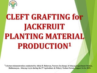 CLEFT GRAFTING for
JACKFRUIT
PLANTING MATERIAL
PRODUCTION1
1A lecture-demonstration conducted by Alicia D. Bulawan, Nursery In-charge of Abuyog Experiment Station,
Balinsasayao, Abuyog, Leyte during the 5th Agriculture & Fishery Techno Forum, August 14-16, 2019.
 