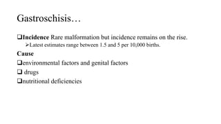 Gastroschisis…
Incidence Rare malformation but incidence remains on the rise.
Latest estimates range between 1.5 and 5 per 10,000 births.
Cause
environmental factors and genital factors
 drugs
nutritional deficiencies
 
