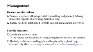 Management
General considerations
Prenatal diagnosis affords prenatal counselling and planned delivery
at a center capable of providing definitive care.
 Safety has been established for both vaginal and cesarean deliveries
Specific measures
Care in the delivery room
The exposed bowel is at risk for injury, hypoperfusion, and fluid and heat loss.
The baby’s abdomen and legs should be placed in a plastic bag.
Alternatively, the viscera may be covered with saline-soaked gauze
 