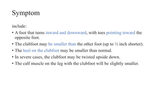 Symptom
include:
• A foot that turns inward and downward, with toes pointing toward the
opposite foot.
• The clubfoot may be smaller than the other foot (up to ½ inch shorter).
• The heel on the clubfoot may be smaller than normal.
• In severe cases, the clubfoot may be twisted upside down.
• The calf muscle on the leg with the clubfoot will be slightly smaller.
 