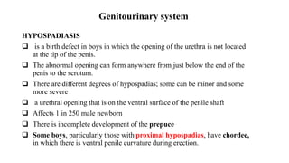 Genitourinary system
HYPOSPADIASIS
 is a birth defect in boys in which the opening of the urethra is not located
at the tip of the penis.
 The abnormal opening can form anywhere from just below the end of the
penis to the scrotum.
 There are different degrees of hypospadias; some can be minor and some
more severe
 a urethral opening that is on the ventral surface of the penile shaft
 Affects 1 in 250 male newborn
 There is incomplete development of the prepuce
 Some boys, particularly those with proximal hypospadias, have chordee,
in which there is ventral penile curvature during erection.
 
