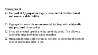 Management
 The goal of hypospadias surgery is to correct the functional
and cosmetic deformities .
 Hypospadias repair is recommended for boys with midpenile
and proximal hypospadias
 Bring the urethral opening to the tip of the penis. This allows a
controlled stream of urine while standing.
 Straighten the penis (if chordee is present) to minimize the risk of
painful intercourse later in life.
 
