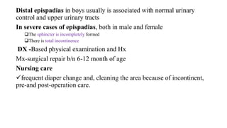 Distal epispadias in boys usually is associated with normal urinary
control and upper urinary tracts
In severe cases of epispadias, both in male and female
The sphincter is incompletely formed
There is total incontinence
DX -Based physical examination and Hx
Mx-surgical repair b/n 6-12 month of age
Nursing care
frequent diaper change and, cleaning the area because of incontinent,
pre-and post-operation care.
 
