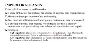 IMPERFORATE ANUS
also called an anorectal malformation,
is a rare birth defect that includes the absence of a normal anal opening (anus).
Absence or improper location of the anal opening
Anal canal and sphincter complex are present, but muscles may be attenuated
In absence of normal anal opening, rectum tapers into fistula that may
communicate with genitourinary tract in boys and reproductive tract in girls.
Two types
• high imperforate anus, where rectum ends above the puborectalis sling. There may be
associated recto-urinary fistula in males or rectovaginal fistula in females.
• Low imperforate anus where rectum has traversed the puborectalis sling. This variant may
be associated with or without perineal fistula.
 