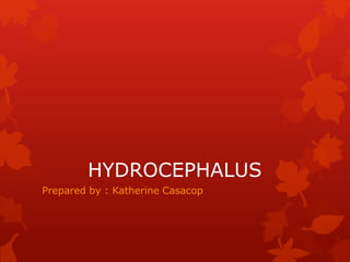 HYDROCEPHALUS
Prepared by : Katherine Casacop
 
