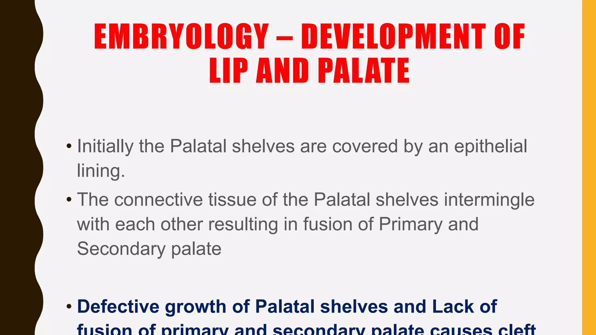 Cleft lip and cleft palate ppt | PPTX
