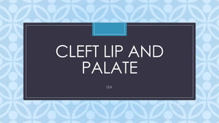 C
CLEFT LIP AND
PALATE
ISA
 