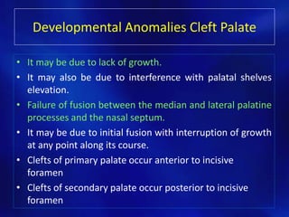 Developmental Anomalies Cleft Palate 
• It may be due to lack of growth. 
• It may also be due to interference with palatal shelves 
elevation. 
• Failure of fusion between the median and lateral palatine 
processes and the nasal septum. 
• It may be due to initial fusion with interruption of growth 
at any point along its course. 
• Clefts of primary palate occur anterior to incisive 
foramen 
• Clefts of secondary palate occur posterior to incisive 
foramen 
 