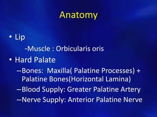 Anatomy 
• Lip 
-Muscle : Orbicularis oris 
• Hard Palate 
–Bones: Maxilla( Palatine Processes) + 
Palatine Bones(Horizontal Lamina) 
–Blood Supply: Greater Palatine Artery 
–Nerve Supply: Anterior Palatine Nerve 
 