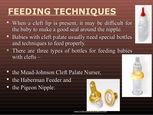 Cleft Lip And Palate Dental Crown Bridge Courses