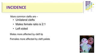 •
More common clefts are –
• Unilateral clefts
• Males female ratio is 2:1
• Left sided
Males more affected by cleft lip
Females more affected by cleft palate
10
.
INCIDENCE
 